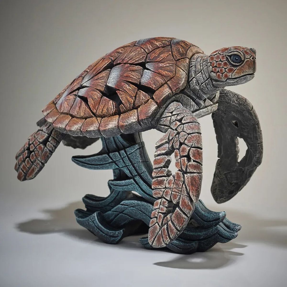 Edge Sea Turtle 商品画像 2