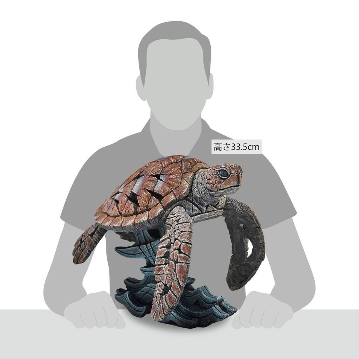 Edge Sea Turtle 商品画像 4