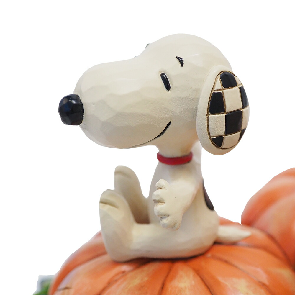 チャーリーブラウン スヌーピー パンプキンパッチ ハロウィン 商品画像 7
