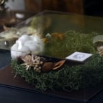 サムネイル 7