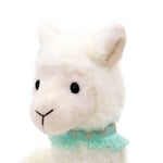 サムネイル 6